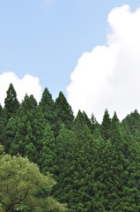 画のような夏景色