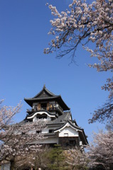城と桜