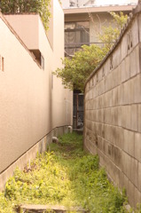 奥の細道