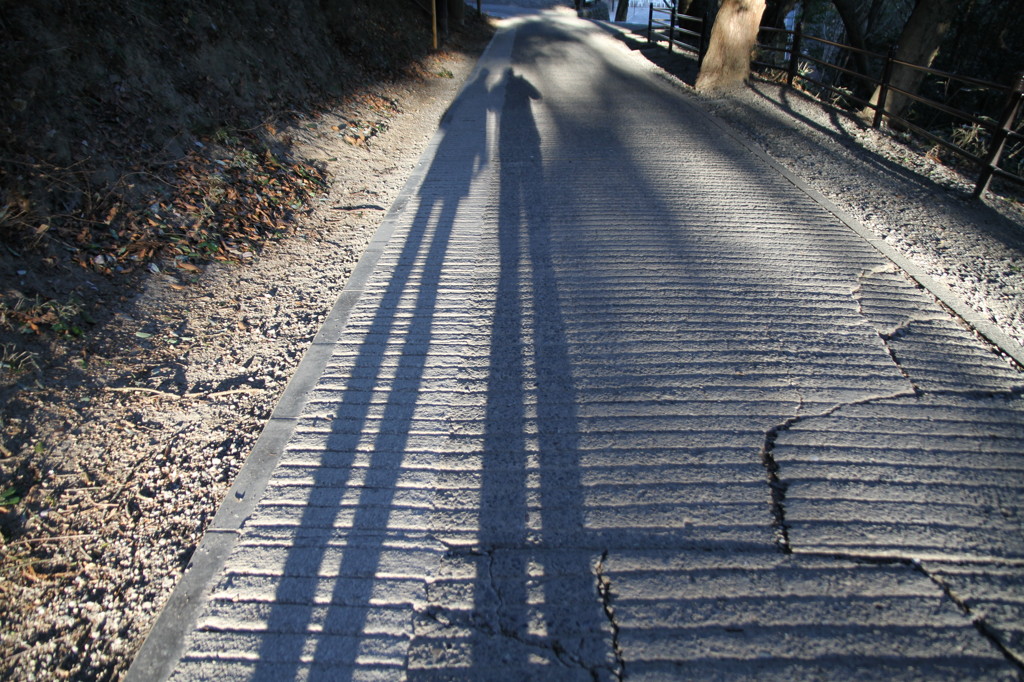 日が陰って来た