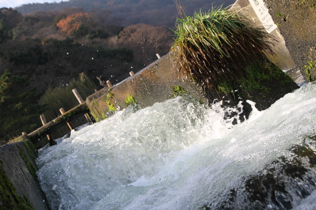 渡月橋左岸