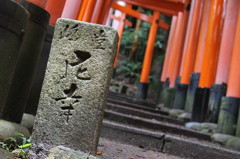 鳥居の回廊に差す光