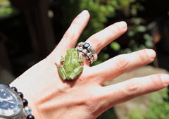 モリアオガエル