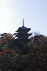 image001