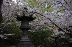 IMGP2866