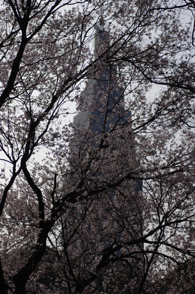 IMGP1284