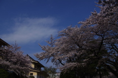 IMGP2880