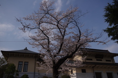 IMGP2877