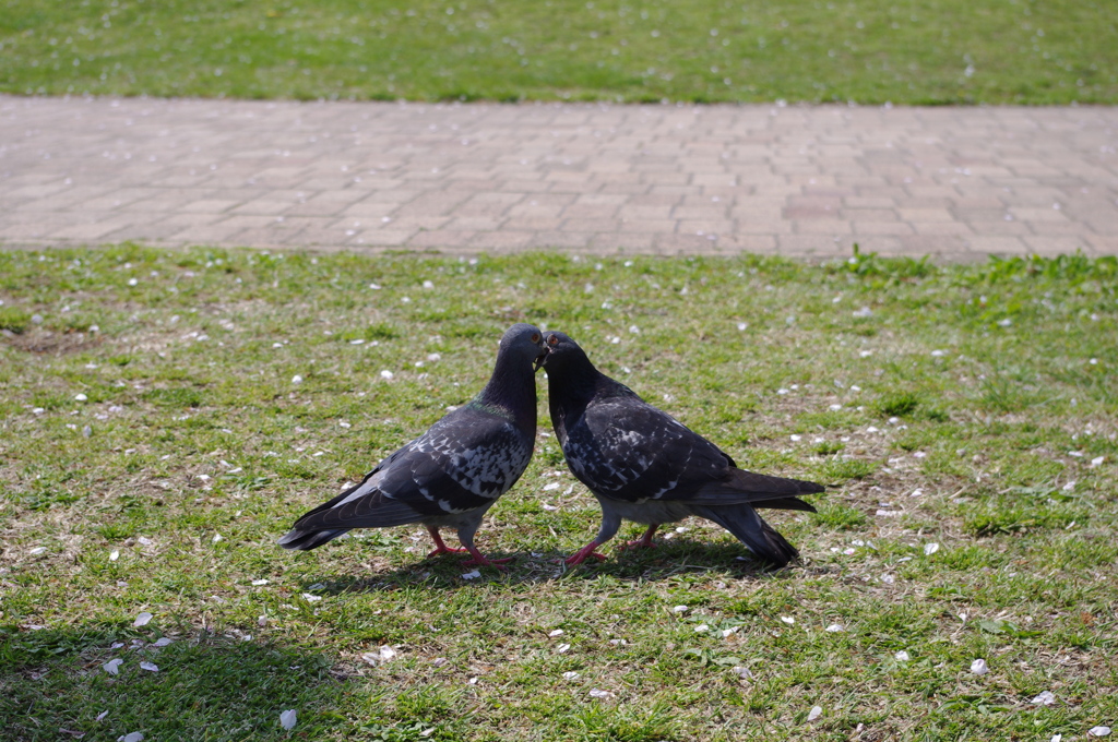 春の出会い？