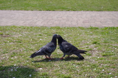 春の出会い？