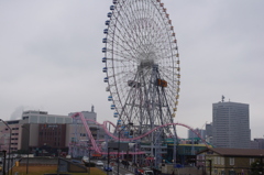 IMGP2650