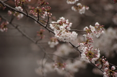 IMGP0928