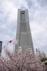 IMGP2812