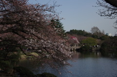 IMGP1272
