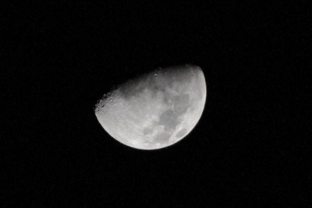 IMGP0838