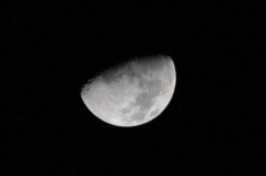 IMGP0838