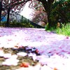 積モル