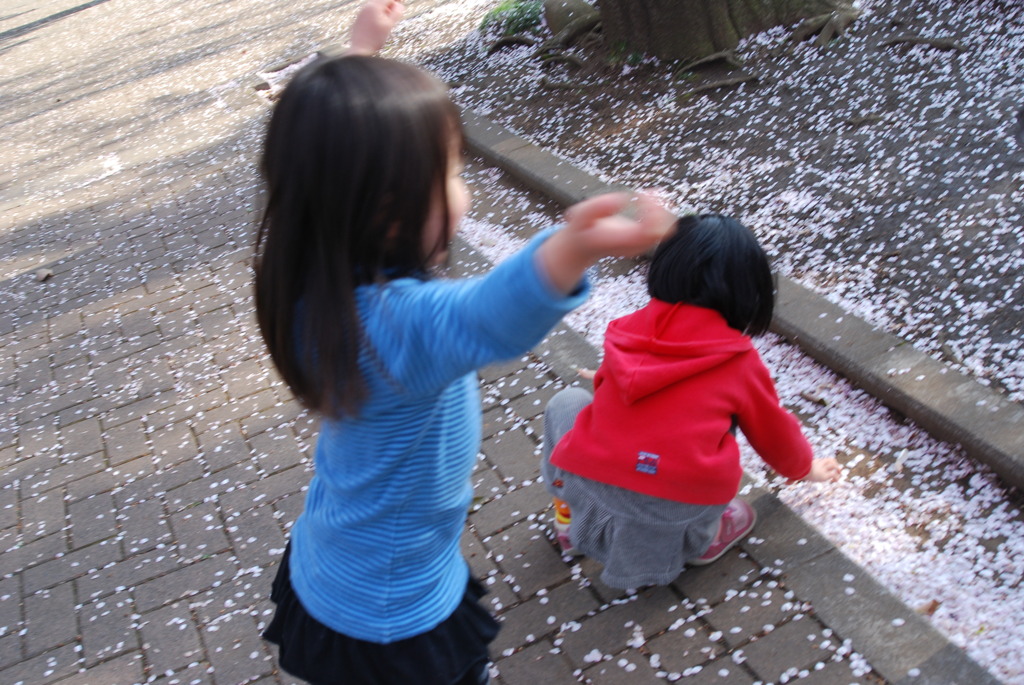 桜の踊り子