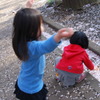 桜の踊り子