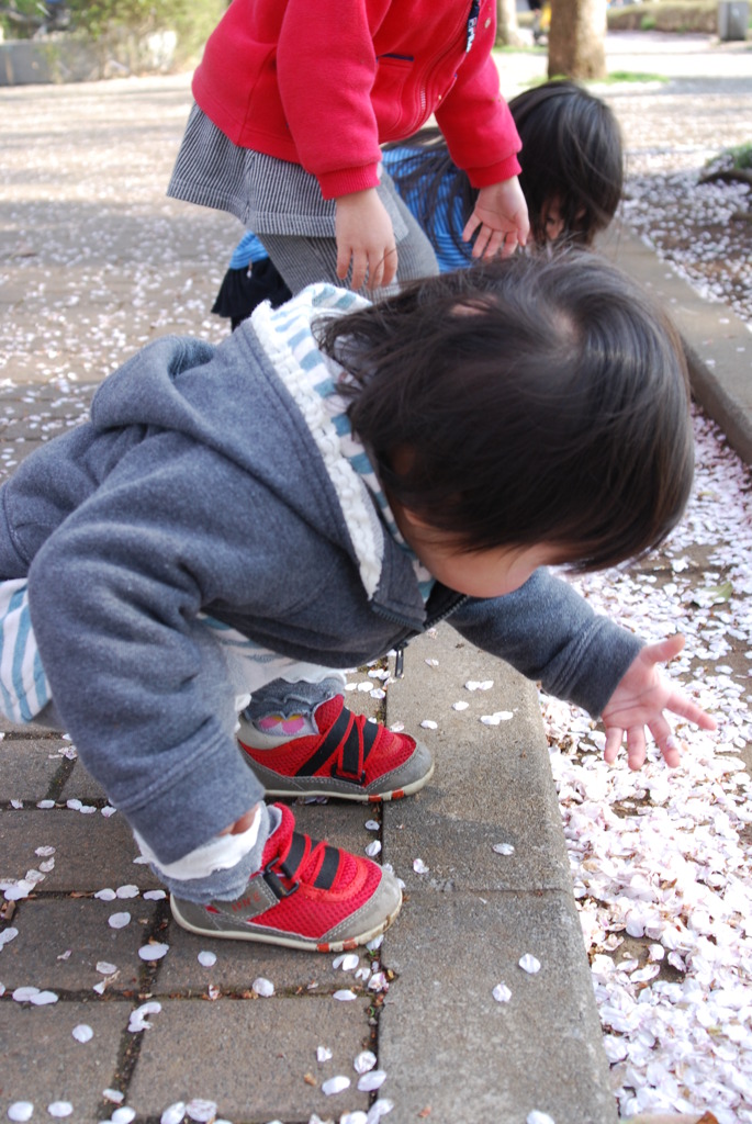 桜の踊り子