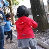 桜の踊り子