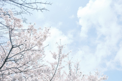 春空