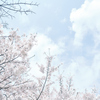 春空