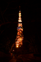 東京タワー２０１１