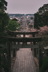 春霞