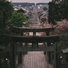 春霞