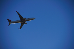 大空に羽ばたけ