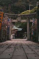 参道