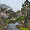 桜色の化粧