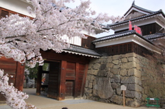 上田城　櫓門の春