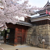上田城　櫓門の春