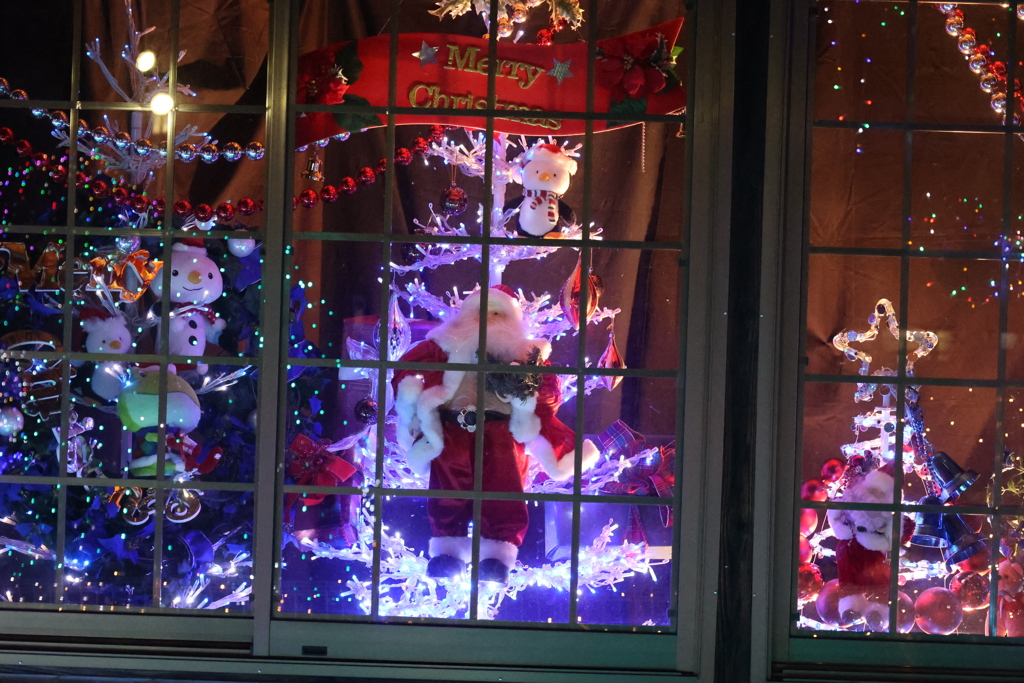 Winter illumination 2020 ０１６