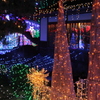 2018 クリスマス・イルミネーション３５