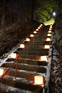 氷灯ろう夢祈願