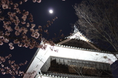 荒城の月と桜