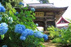 山寺の青の宝石０３～神秘・忍耐強い愛情～