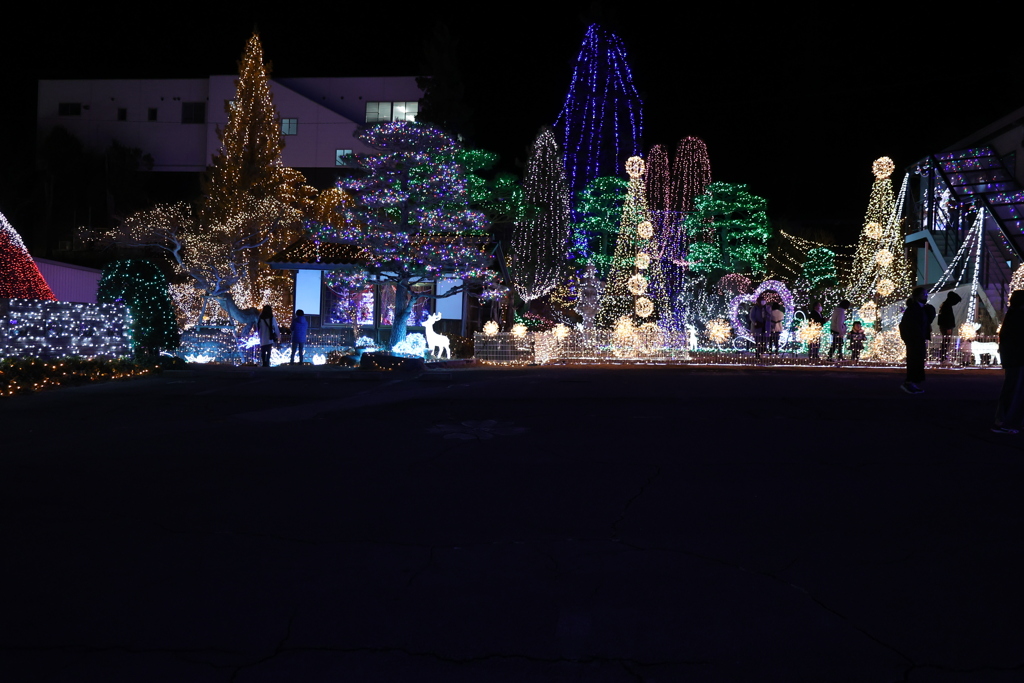 Winter illumination 2020 ０１４