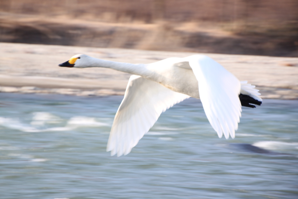 The maximum speed of the takeoff１