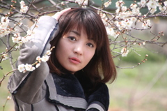梅の女神８