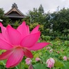 信濃国分寺～台風が去った朝２～
