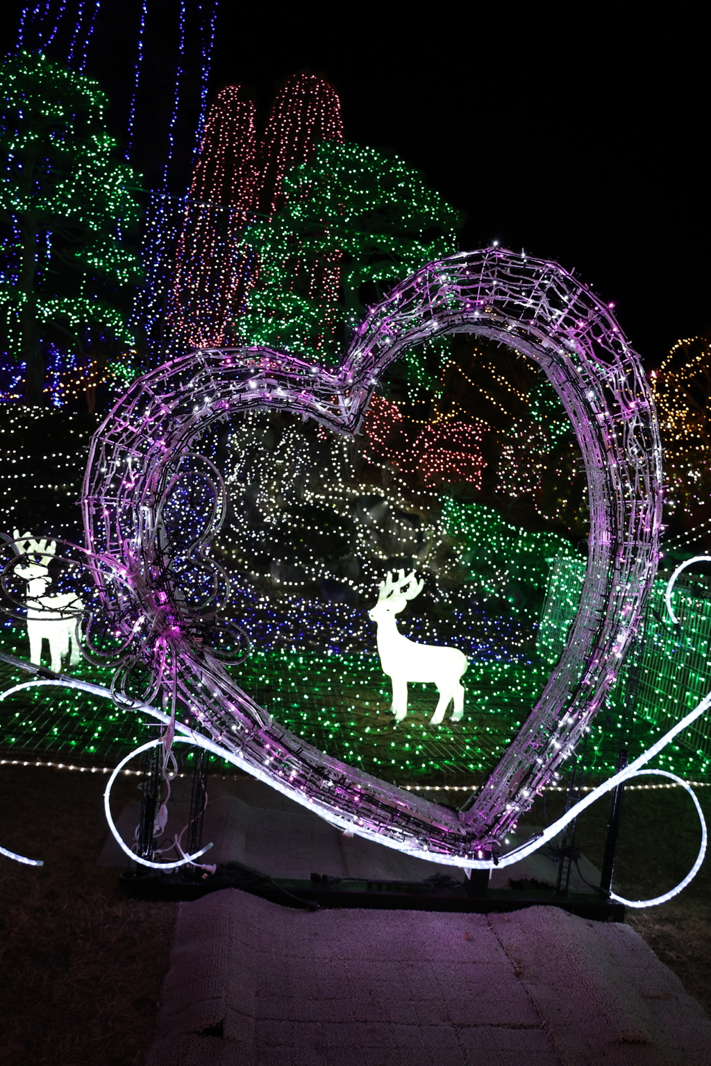 Winter illumination 2020 ００８