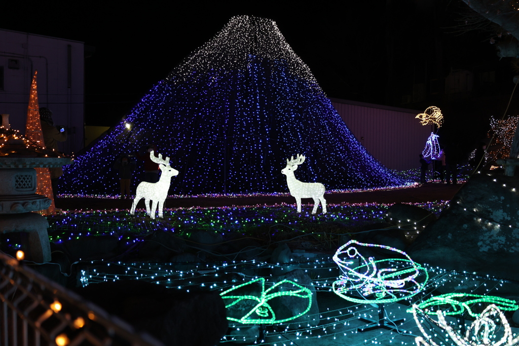 Winter illumination 2020 ００４