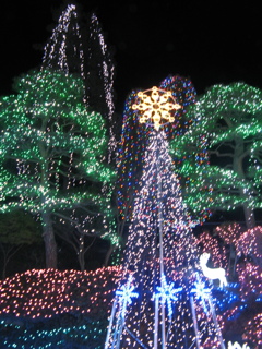 クリスマスの夜～貴女とふたり～