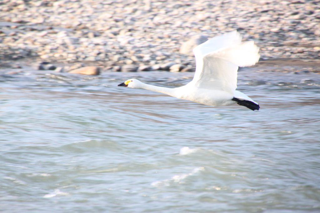 The maximum speed of the takeoff２