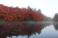 朝霧に煙る避暑地の水辺