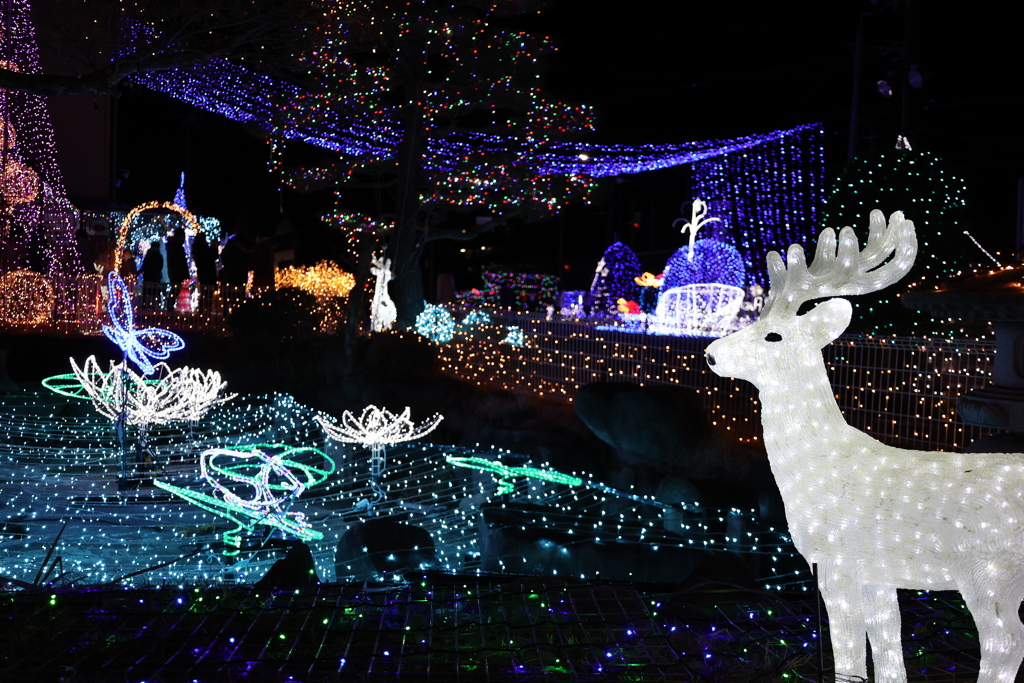 Winter illumination 2020 ０１９